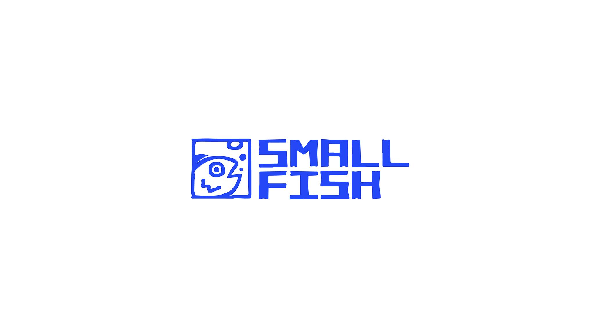 Discovery splash banner for Small Fish Discord server