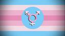 Discovery splash banner for Transfem Hangout Discord server