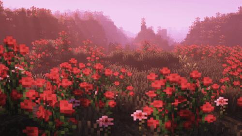 Discovery splash banner for hole Discord server