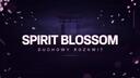 Discovery splash banner for Spirit Blossom Discord server