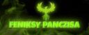 Discovery splash banner for FENIKSY Discord server