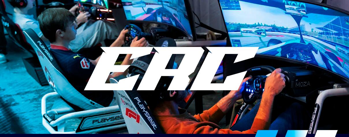 Discovery splash banner for Real Sim Experience Discord server