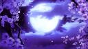 Discovery splash banner for D❦hlia Discord server