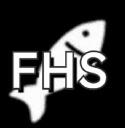 Discovery splash banner for Fisch Helping Server Discord server