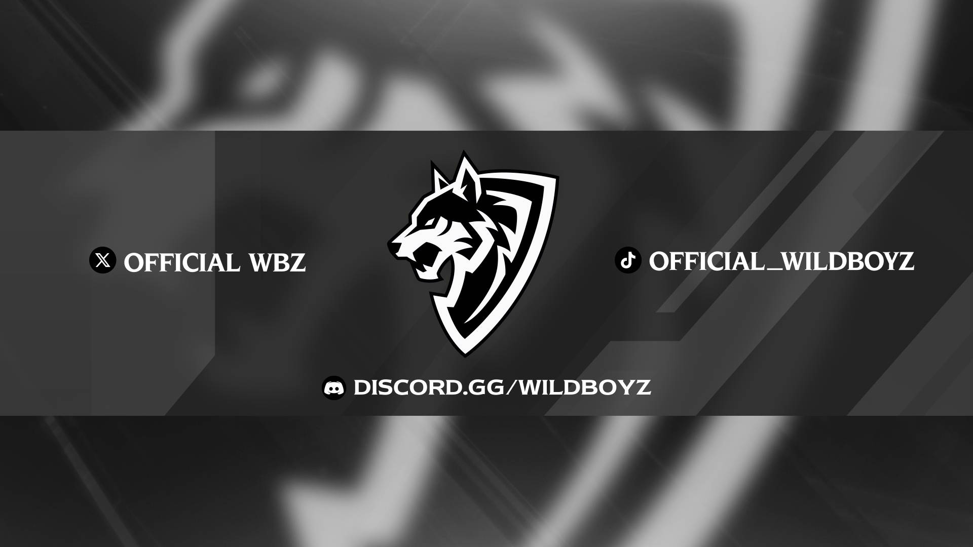 Discovery splash banner for WildBoyZ Discord server