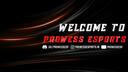 Discovery splash banner for PROWESS ESPORTS š®š³ Discord server