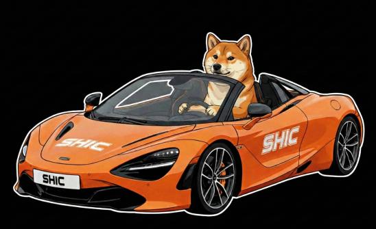Discovery splash banner for ShibaCoin (SHIC) Discord server