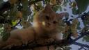 Discovery splash banner for Twinkle Skies✨ Discord server