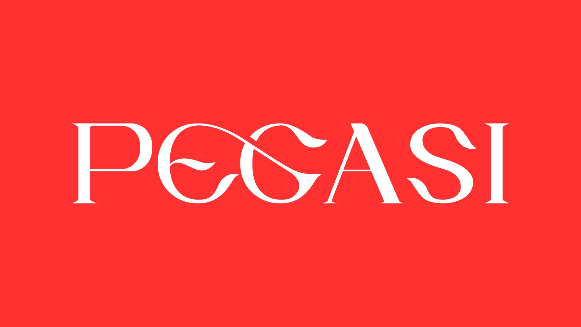 Discovery splash banner for Project PEGASI Discord server