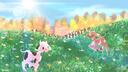 Discovery splash banner for Moo Discord server