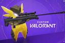 Discovery splash banner for Custom VALORANT Discord server