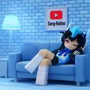 Discovery splash banner for Seng-Roblox Discord server