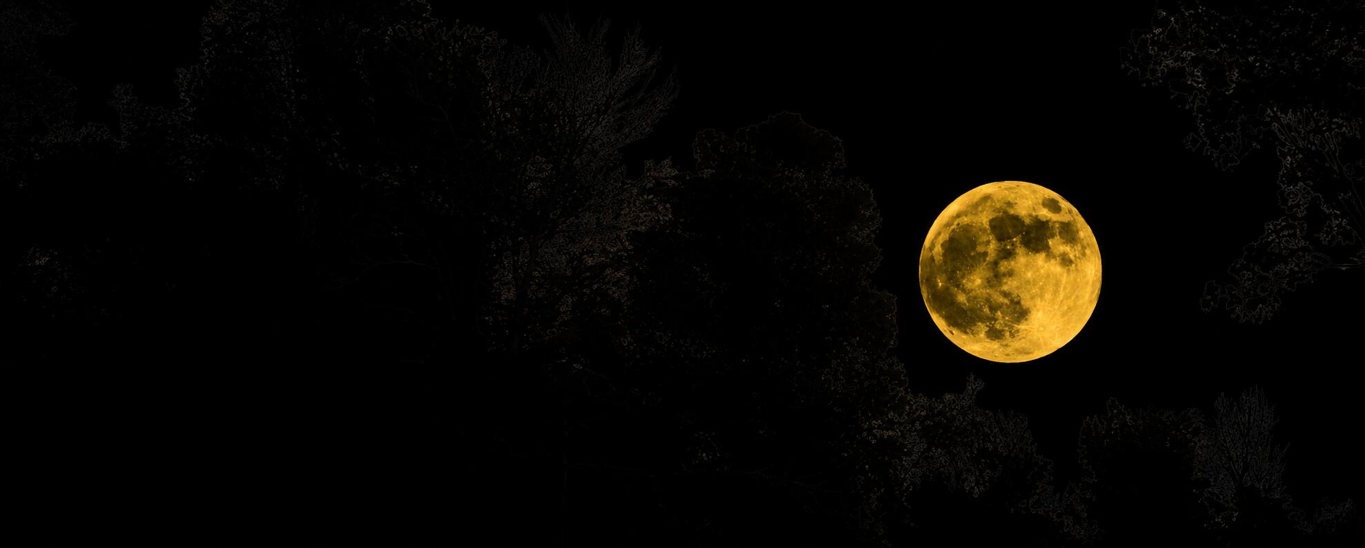 Discovery splash banner for @𝐍𝐢𝐠𝐡𝐭𝐅𝐚𝐥𝐥🌙 Discord server