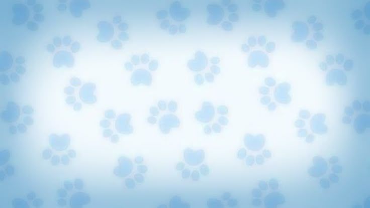 Discovery splash banner for ๐โ Animal hospital unofficial เฉญ * Discord server