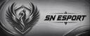 Discovery splash banner for SN Esport Discord server