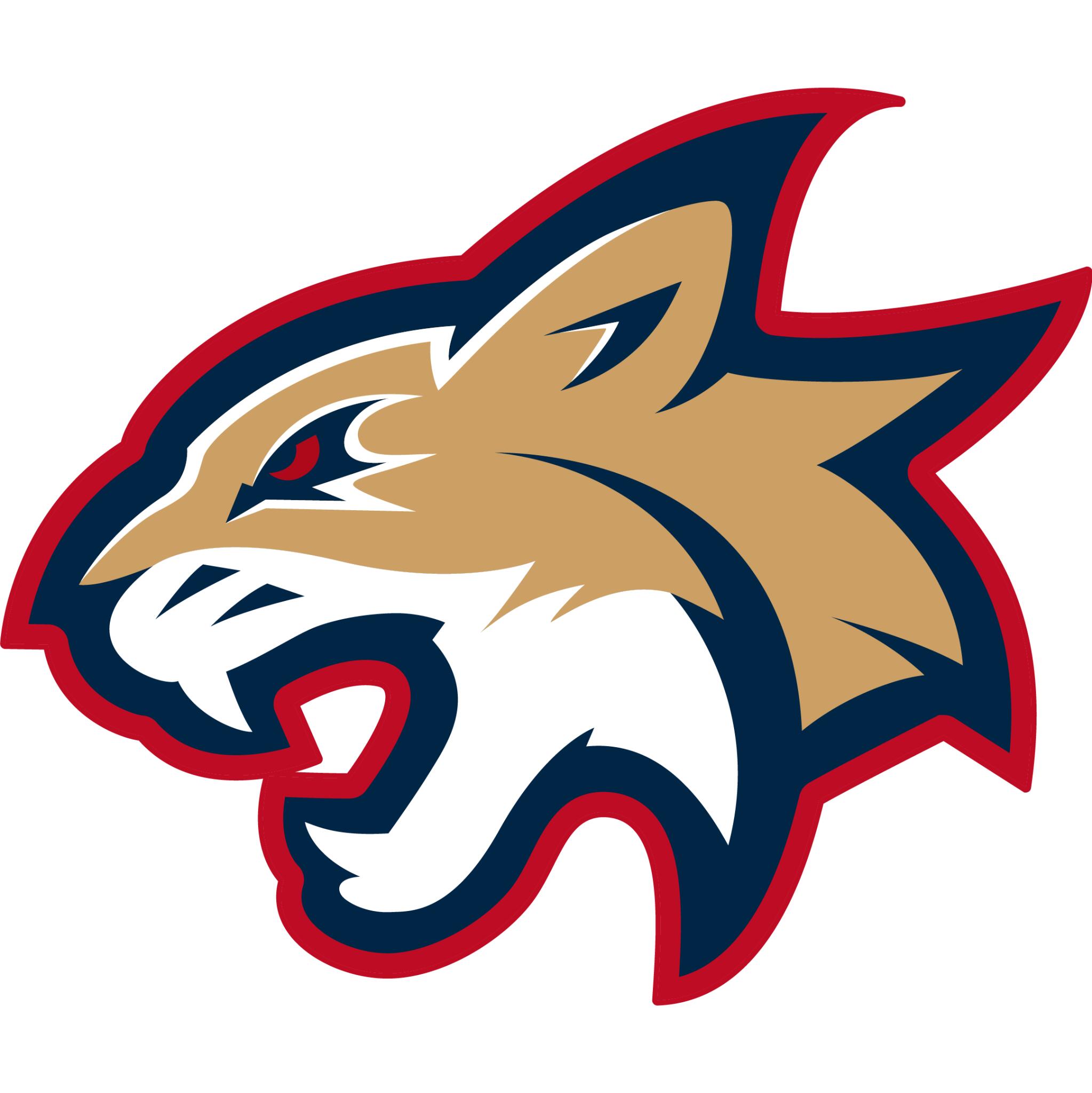 Discovery splash banner for UArizona Wildcat Gaming Club Discord server