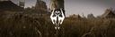 Discovery splash banner for Skyrim Together Discord server