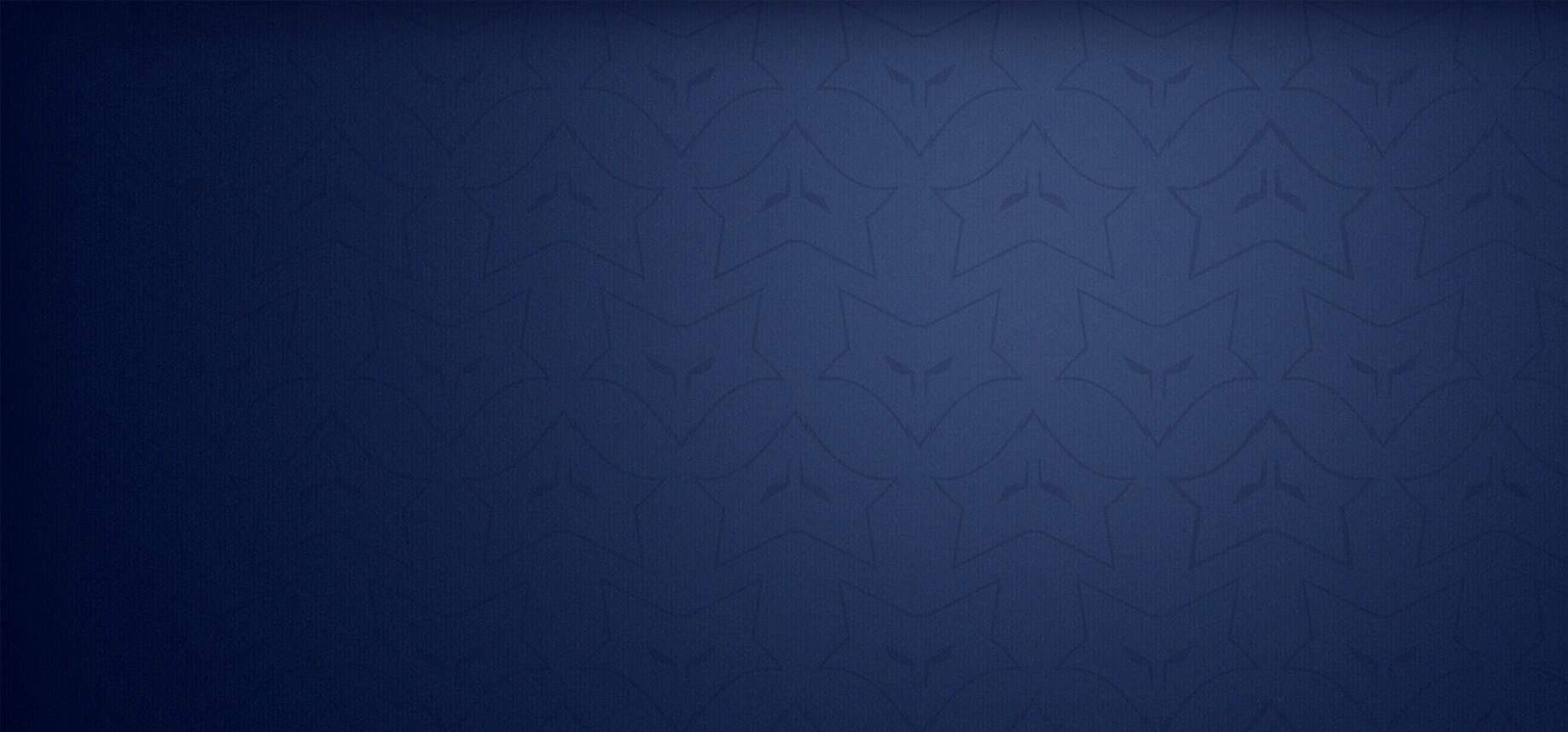 Discovery splash banner for ColdFox Discord server