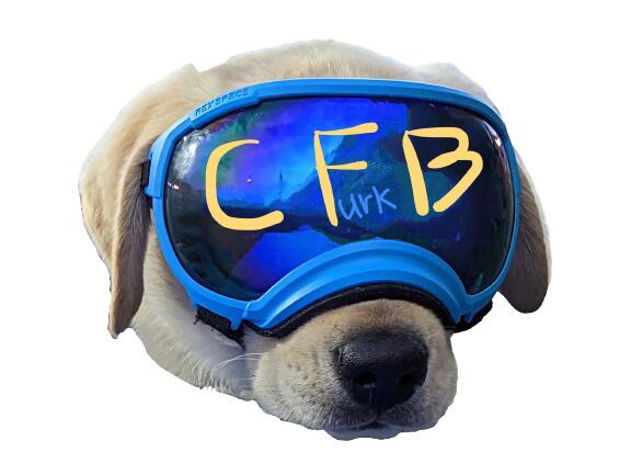 Discovery splash banner for CFBcord Discord server