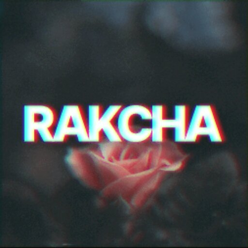 Discovery splash banner for Rakcha Discord server