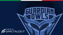 Discovery splash banner for Guardian OWLS - gametales.it Discord server
