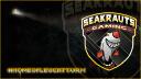 Discovery splash banner for SeaKrauts Discord server