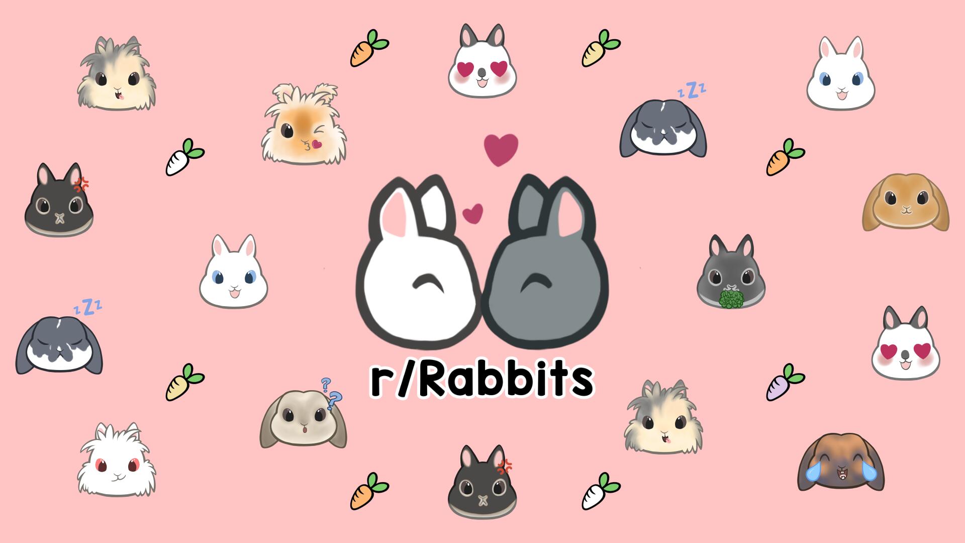 Discovery splash banner for Rabbitors Discord server