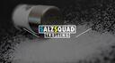 Discovery splash banner for SalzSquad Community 🧂 Discord server