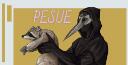Discovery splash banner for Pesue Discord server