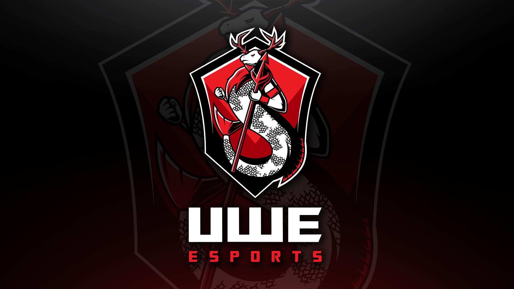Discovery splash banner for UWE Esports Discord server