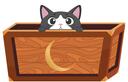 Discovery splash banner for Mooney Bin Discord server