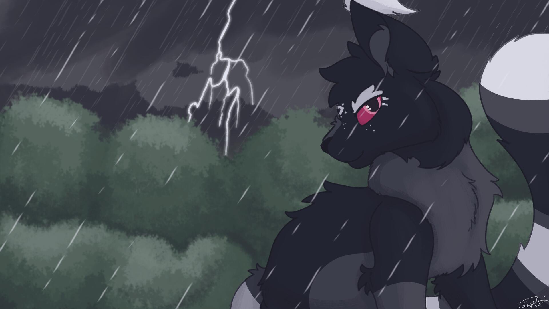 Discovery splash banner for r/WarriorCats Discord server
