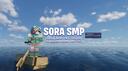 Discovery splash banner for Sky's Network Discord server