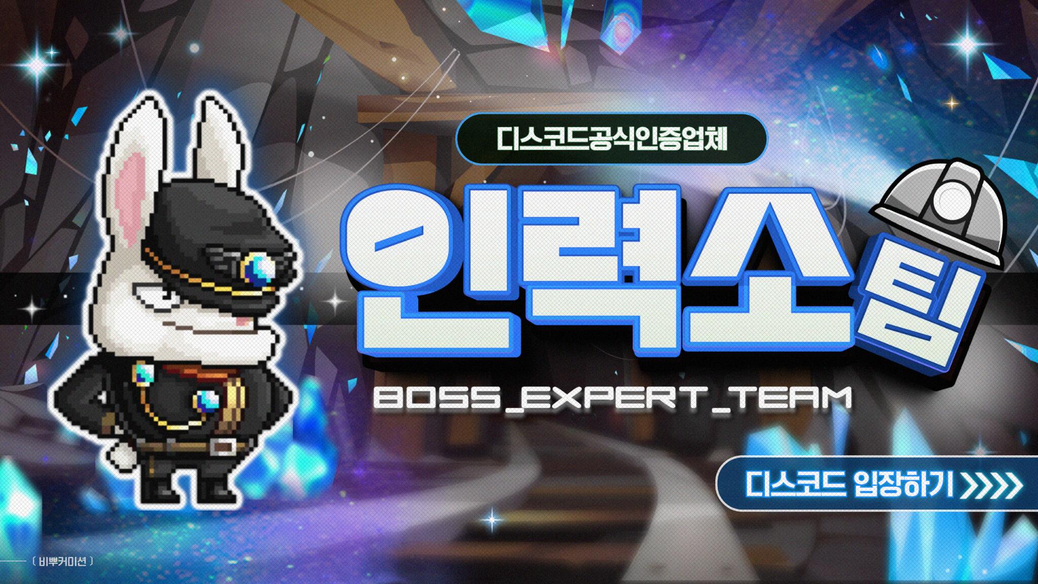 Discovery splash banner for 메이플 보스 대리컨 인력소팀 Discord server