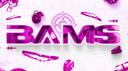Discovery splash banner for BAMS Discord server