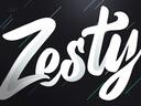 Discovery splash banner for ZestySolutions Discord server