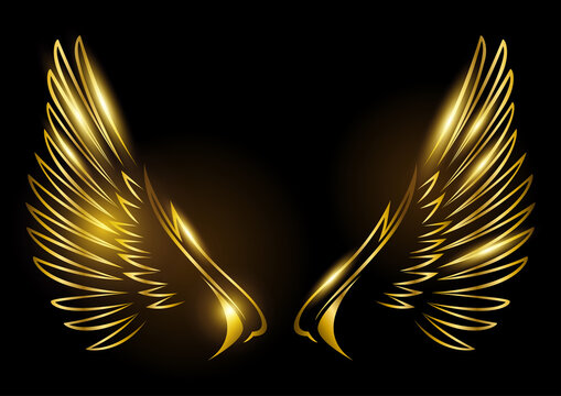 Discovery splash banner for !Wings CS:GO Trading Discord server