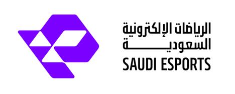 Discovery splash banner for Saudi Esports Federation Discord server