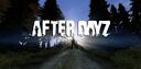 Discovery splash banner for After DayZ Discord server