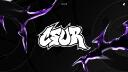 Discovery splash banner for CSUR GG Discord server