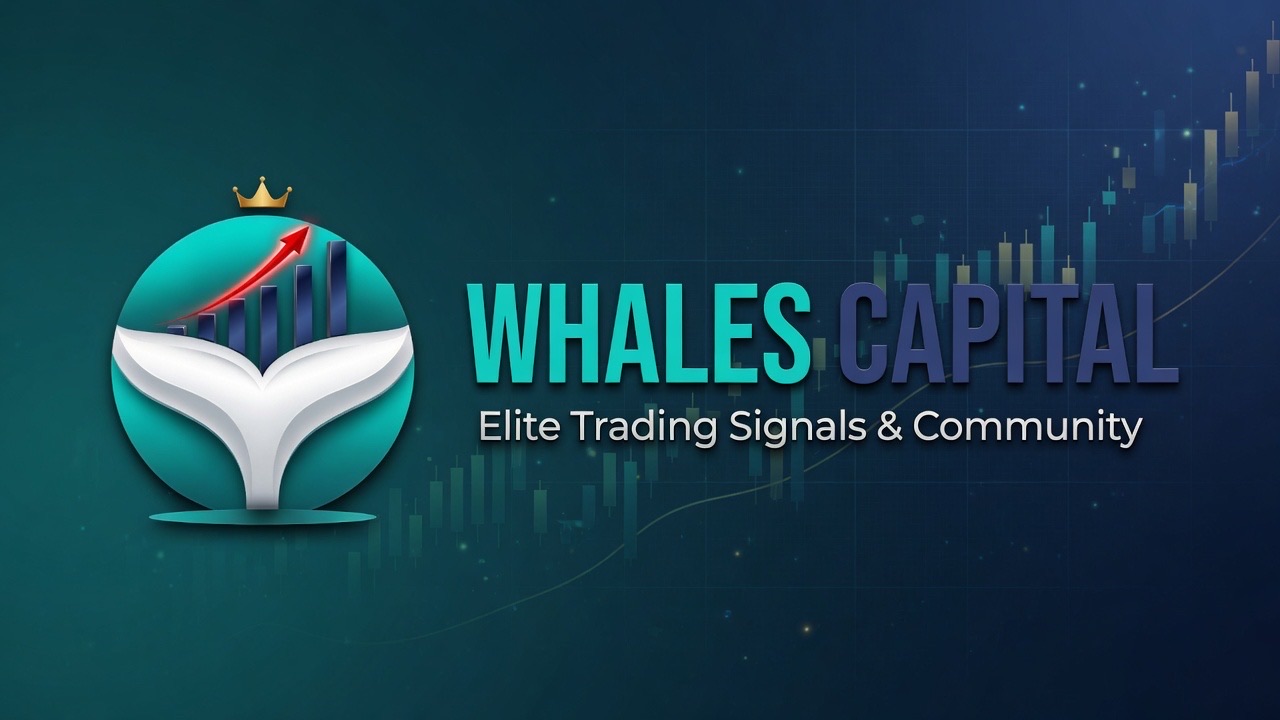 Discovery splash banner for Whales Capital Discord server