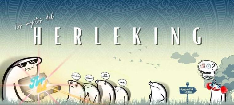 Discovery splash banner for H E R L E K I N G Discord server