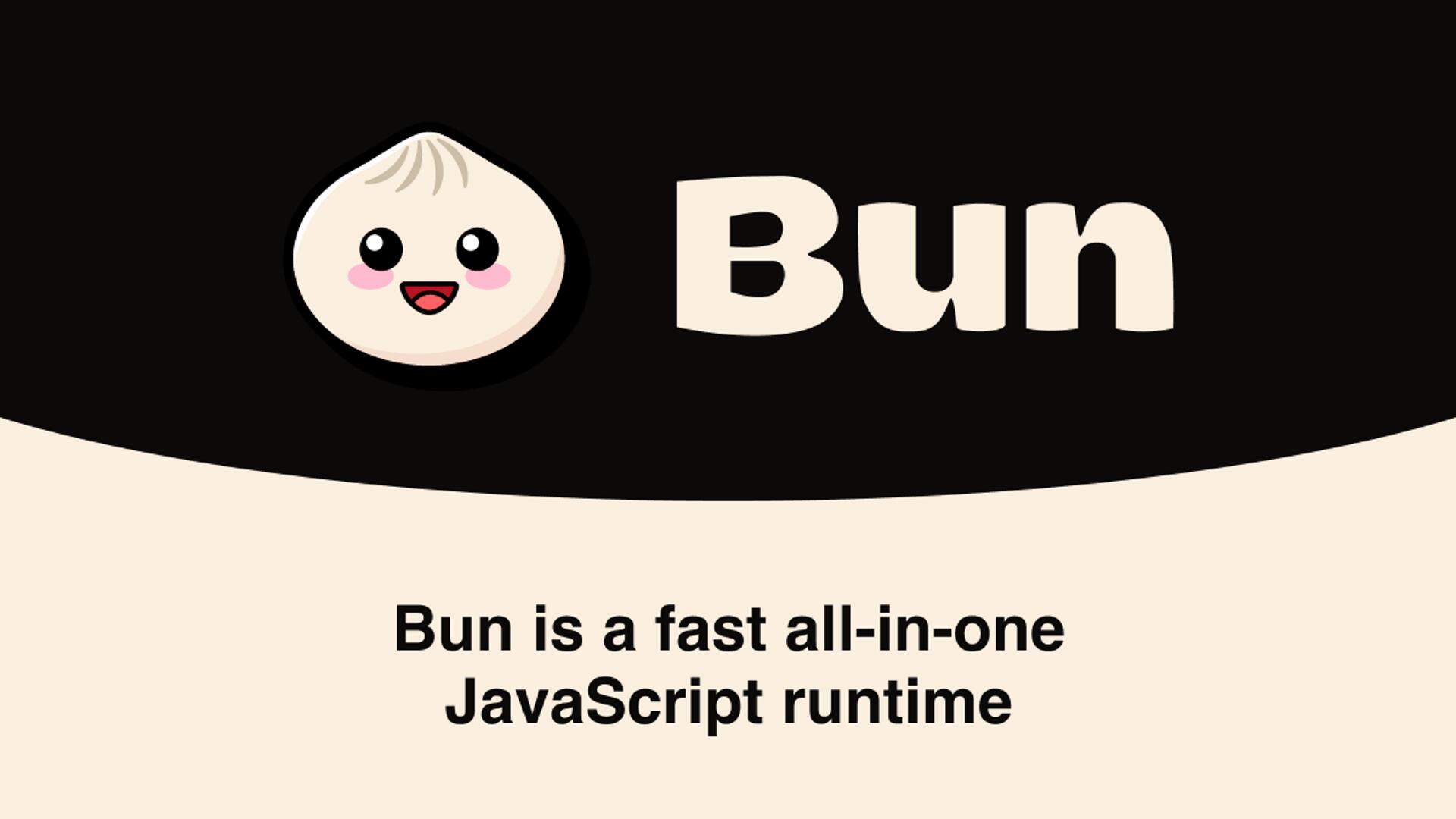 Discovery splash banner for Bun Discord server