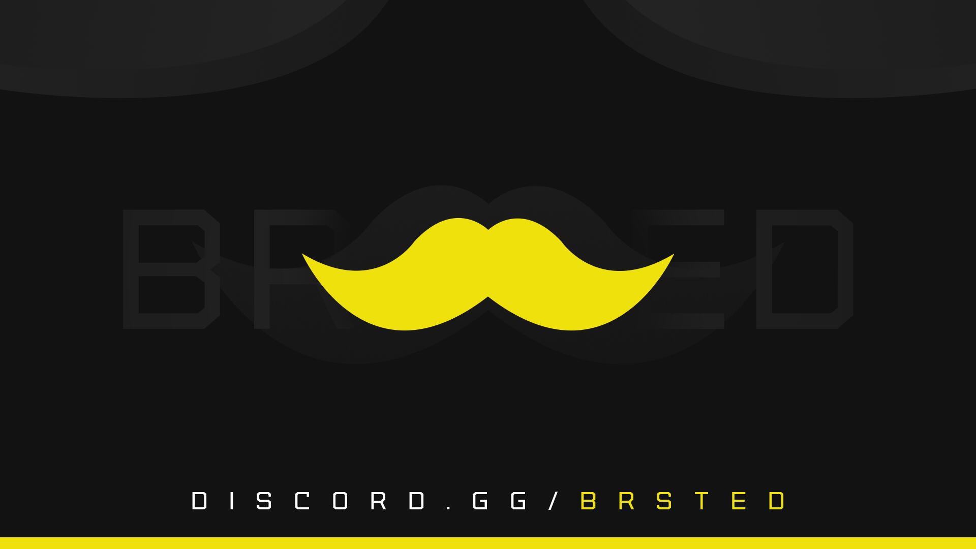 Discovery splash banner for BRSTED Discord server