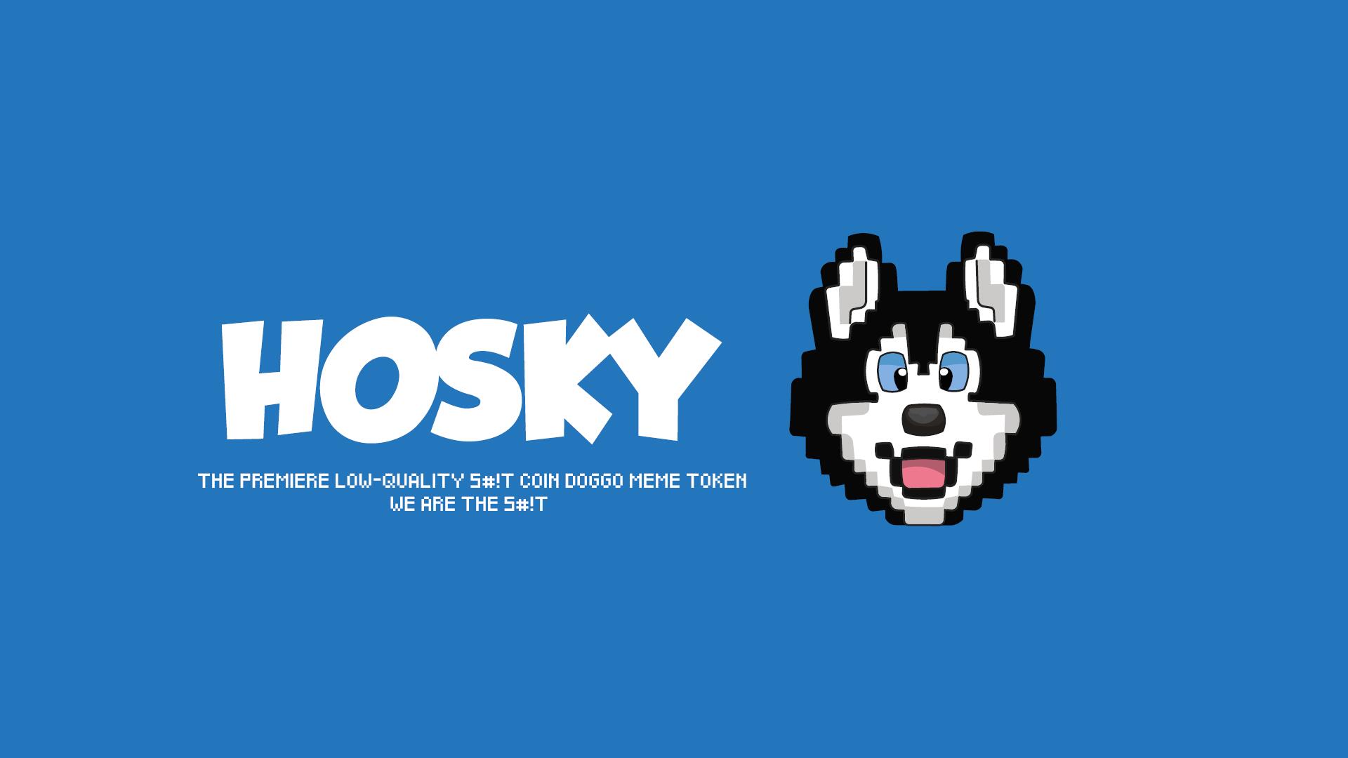 Discovery splash banner for HOSKY Discord server