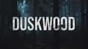 Discovery splash banner for Duskwood & Moonvale Discord server