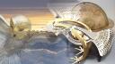 Discovery splash banner for Sur la trace de la Chouette d'Or® Discord server