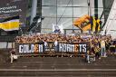 Discovery splash banner for Golden Hornets Discord server