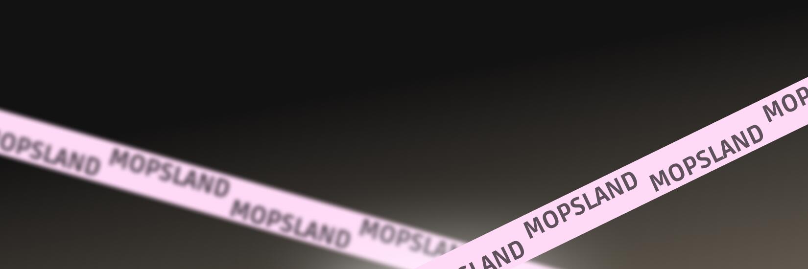 Discovery splash banner for MOPSLAND Discord server