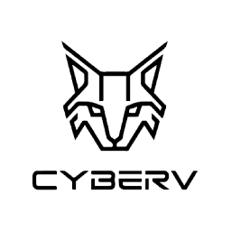 Discovery icon for CyberV Discord server